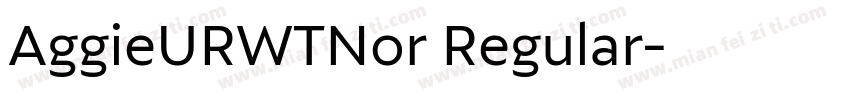 AggieURWTNor Regular字体转换